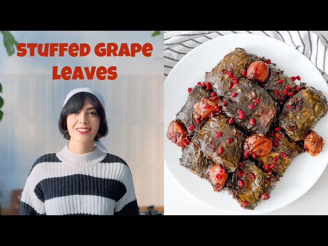 Best persian Stuffed grape leaves recipe | Dolmeh iranian recipe