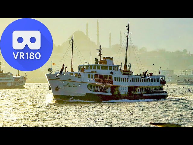 VR180 - Istanbul Ferry - Journey with Seagulls