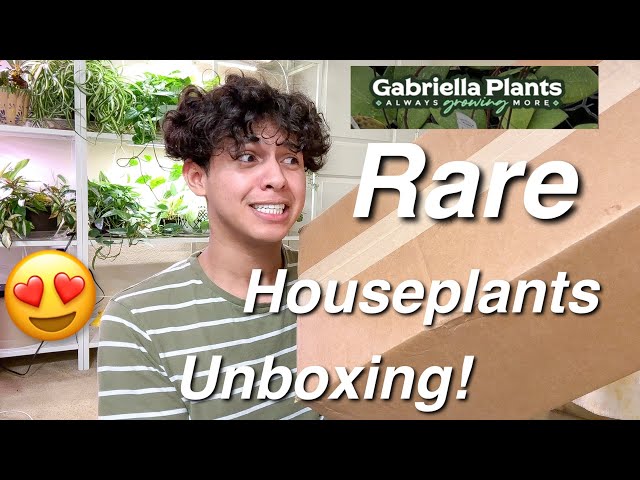 Exciting Rare & Uncommon Houseplants Unboxing from Gabriella’s Plants!