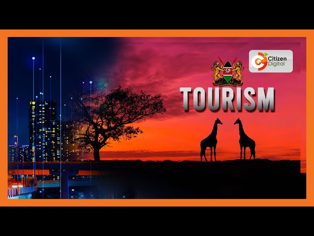 Kenya’s tourism industry records strong growth in 2024