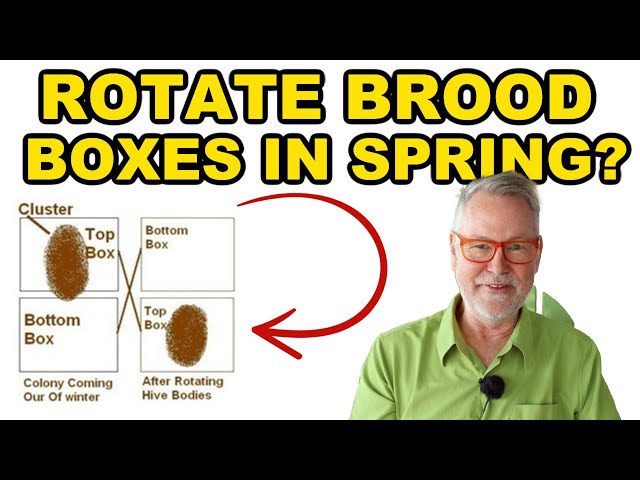 Beekeeping | Should You Rotate Brood Boxes This Spring?