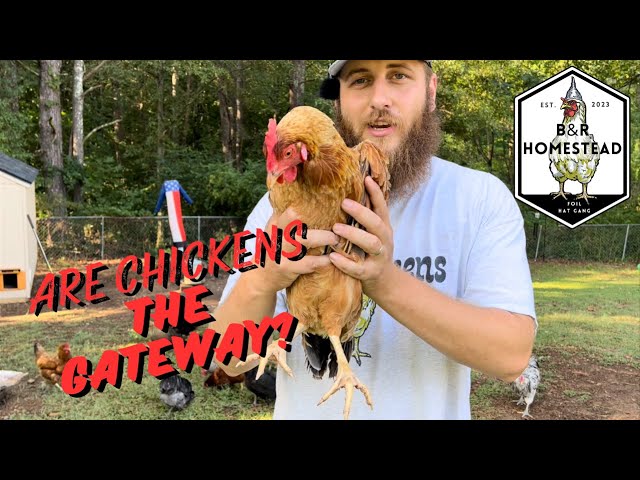 How Owning Chickens Changed EVERYTHING For Me