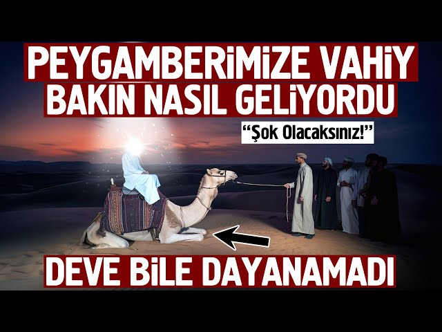 Peygamberimize Vahiy Bakın Nasıl Geliyordu. Resmen Şok Oldum! Deve Bile Dayanamadı.