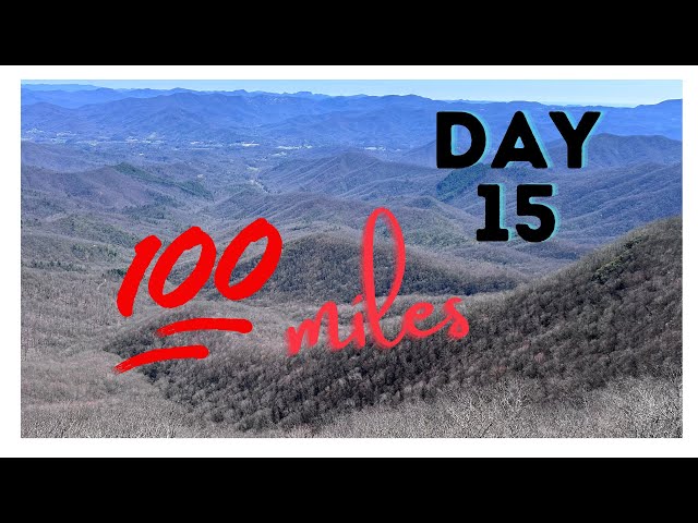 Day 15 - Betty creek to Rock Gap Shelter - Appalachian Trail Thruhike 2024 Attempt