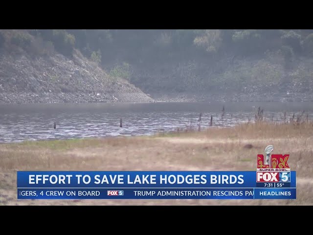 Lake Hodges tour guides say low water levels are negatively impacting business