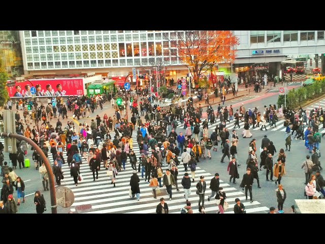 Most Crowded Crossing in Shibuya Tokyo - 360 Video - Wisata Jepang