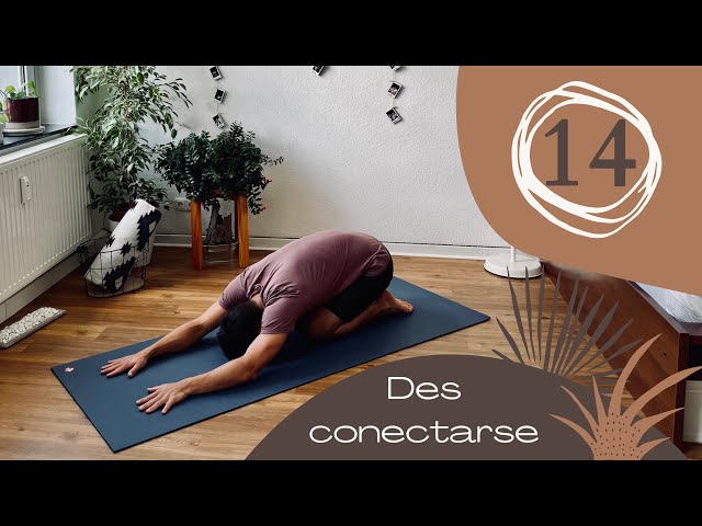 Día 14 - Desconectarse (Yoga para Principiantes, Intermedio y Avanzados) | 15 días con Jan Yoga