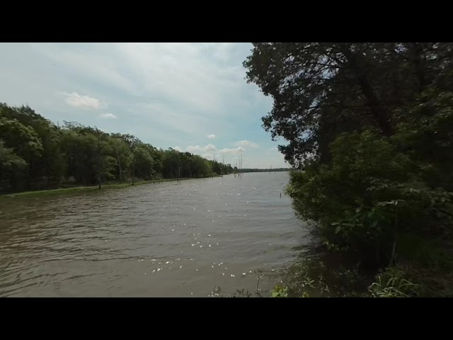 Unwind at the lake with ambient music and nature sounds