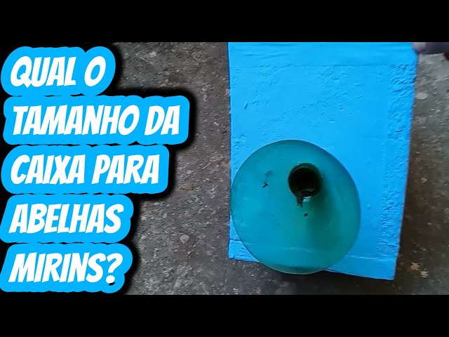 Qual o tamanho fazer a caixa para abelhas Mirim Doriana Guaçu preguiça Lambe olhos? Quais medidas?