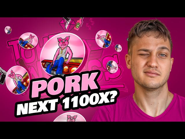 JOIN THE EXCITEMENT! 🔥 $PORK 🔥 MEME COIN PRESALE IS HERE!