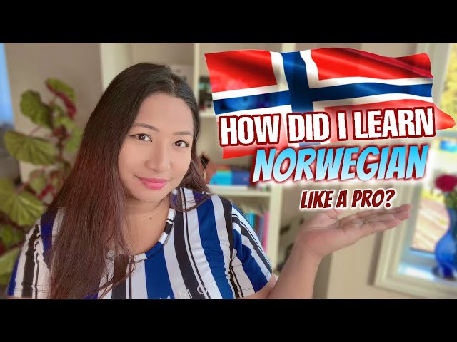 HOW DID I LEARN NORWEGIAN LIKE A PRO?