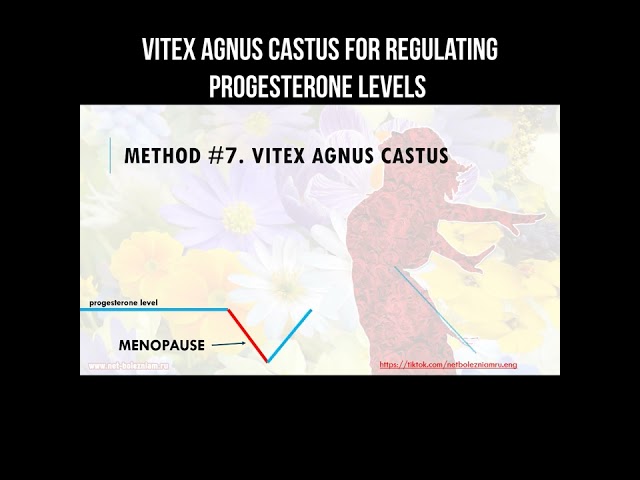 Vitex agnus castus for regulating progresterone levels #menopause #hormones