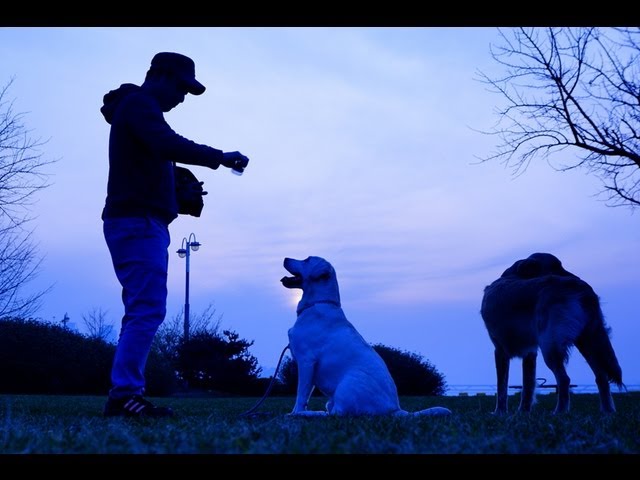 호미숙 자전거여행[자전거 탄 풍경, 한강의 노을] Around Dusk