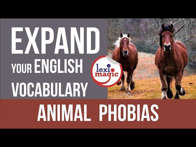 Animal Phobias