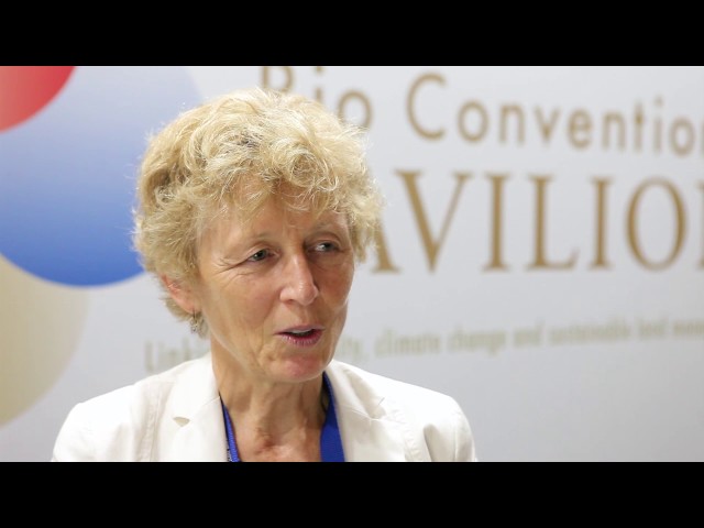 CIFOR at CBD COP13: An interview with Eva Muller