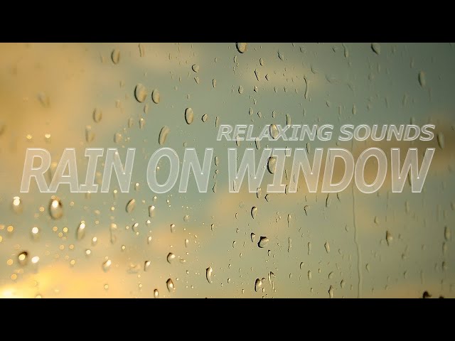 Rain on Window Sounds for sleeping | Relax, Study, Black Screen