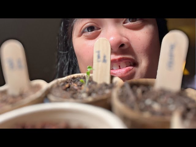 The First Sprout Has Sprung!! | Day In the LIie Apartment Gardening