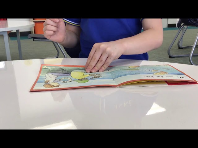 Grade 1 Reading (short)