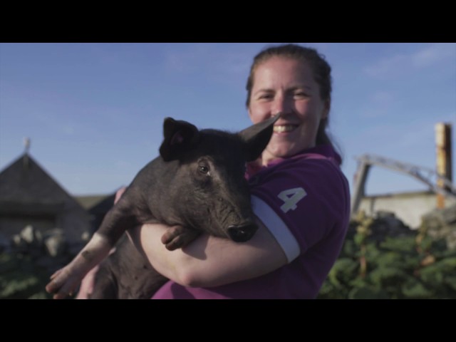 The Shetlanders - The award-winning farmers