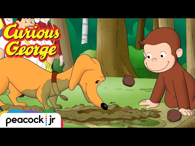 George Forages in the Forest | CURIOUS GEORGE