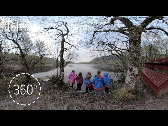 Beaver Walk 360 | Natural History Museum