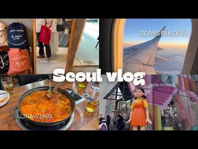 韓国vlog）姉妹で行く冬のソウル旅行🇰🇷⛄️❄️おすすめ韓国グルメ｜雑貨屋巡り🛍️｜ショッピング🛒｜カフェ☕️