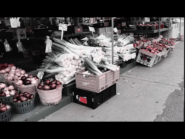 SHUT & SHOOT #2 | Daily Life - Marché Jean-Talon Market