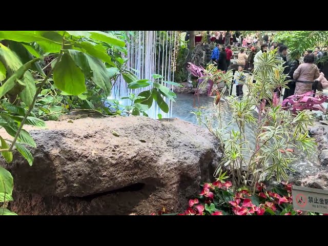 重庆光环购物公园首层：自然与现代的完美融合 "Nature Meets Modernity on the First Floor of Chongqing Halo Shopping Park"