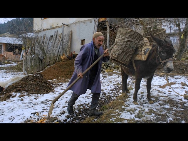 Winter Life of an Elderly Couple - The Documentary