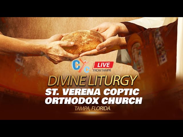 Live USA : The Divine Liturgy from St. Verena Coptic Orthodox Church Tampa,Florida