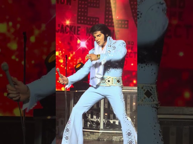 #elvispresley #funny #cat #impersonator #music