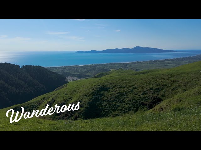 Walking The Rocks Loop at Whareroa Farm Reserve with spectacular panoramic views Kapiti Island NZ 4K