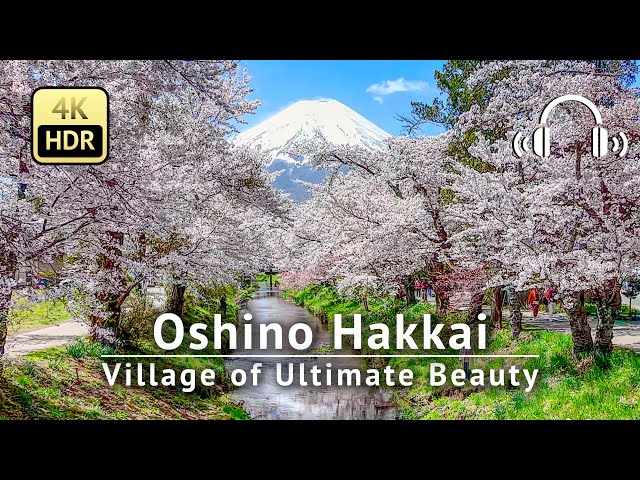 Oshino Hakkai - Village of Ultimate Beauty: Mt. Fuji, Cherry Blossoms & Crystal-Clear Water