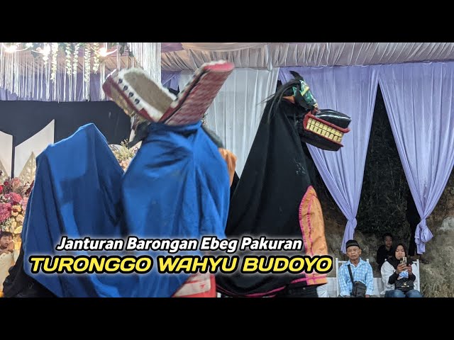 Full Janturan‼️Barongan Turonggo Wahyu Budoyo Live Gremet Kalipule