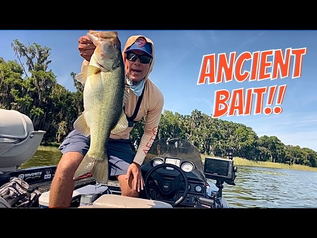 Fishing OLD SCHOOL Offshore Techniques To Catch HARRIS CHAIN Bass!!  Lake Beauclair and Carlton!