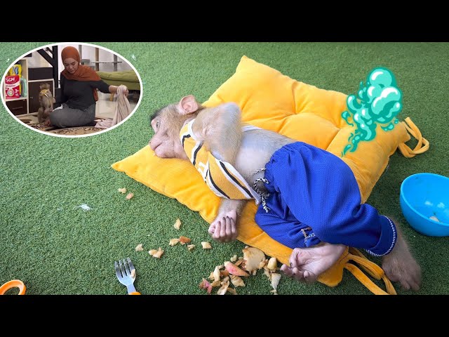 Alpha's Biggest Diaper Fail EVER! Mom's Reaction is GOLD 🤣