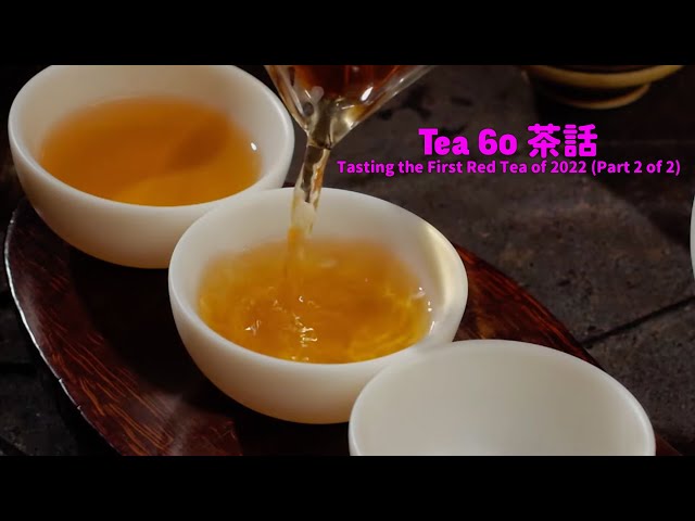 Tea60 茶話 - Tasting the First Fresh Red Tea of the Season (Part 2 of 2)