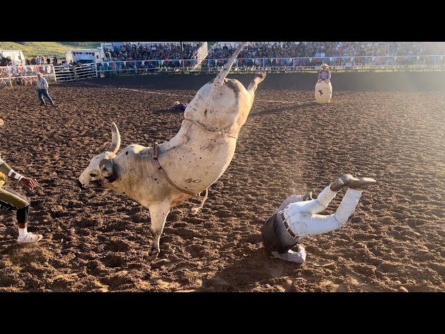 Amateur Bull Riders