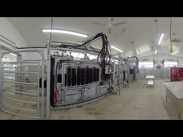 Handling Area - Virtual 360º Tour of the Ontario Beef Research Centre