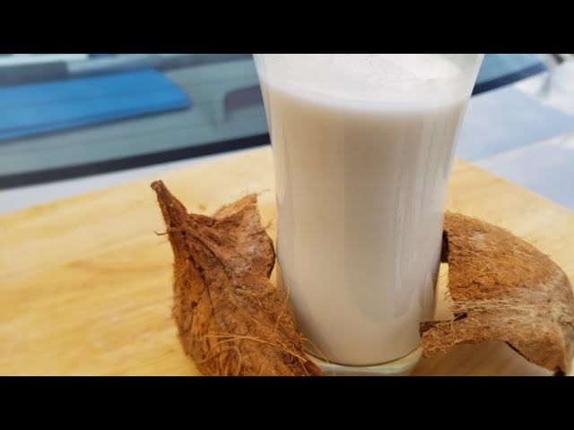 HOW TO EXTRACT COCONUT MILK AT HOME | HOMEMADE COCONUT MILK | How to make coconut milk | KETO MILK