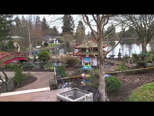 Garden Transformation - Amazing Maples - 27 Mar 23