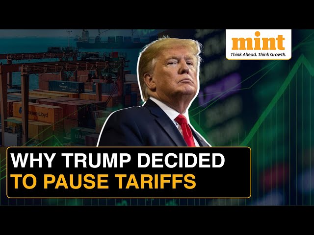 Stock Markets Surge: Nifty, Sensex Rally as Trump Pauses Tariffs on Canada & Mexico | Here’s Why