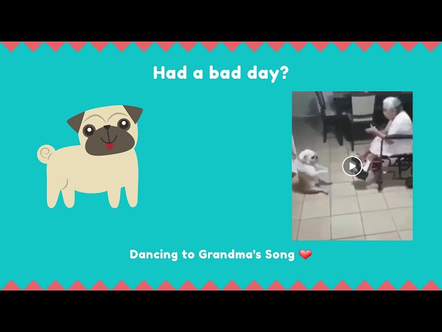 Dog dancing to Grandma's Song ❤