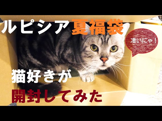 【福袋】猫好きが試す【ルピシア】2020年夏