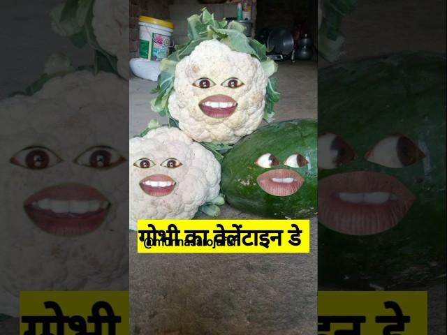 गोभी का वेलेंटाइन डे #thetharpuns #funny #comedy #shilpisaroja