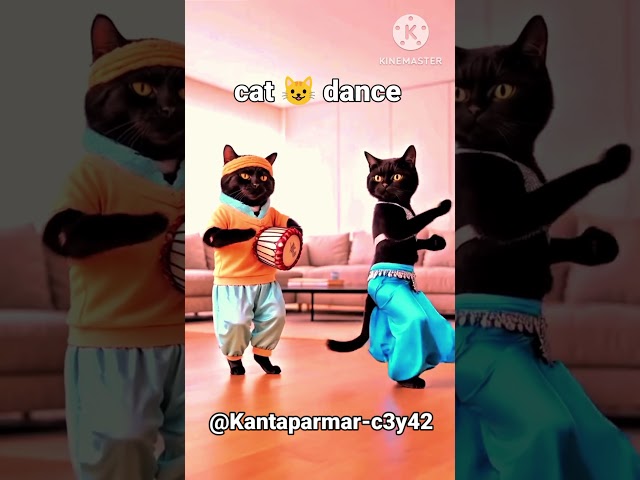 Cat Dancing 💜😹 |   #cat videos #short feed #viral short