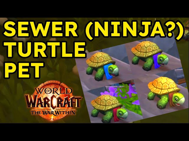 SEWER TURTLE PET GUIDE | World of Warcraft: The War Within