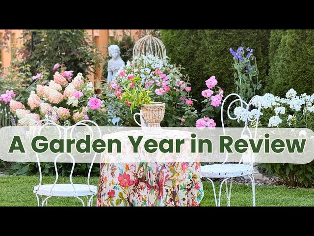 Garden Tour Review 2024 plus New Shed and Thrift Finds!