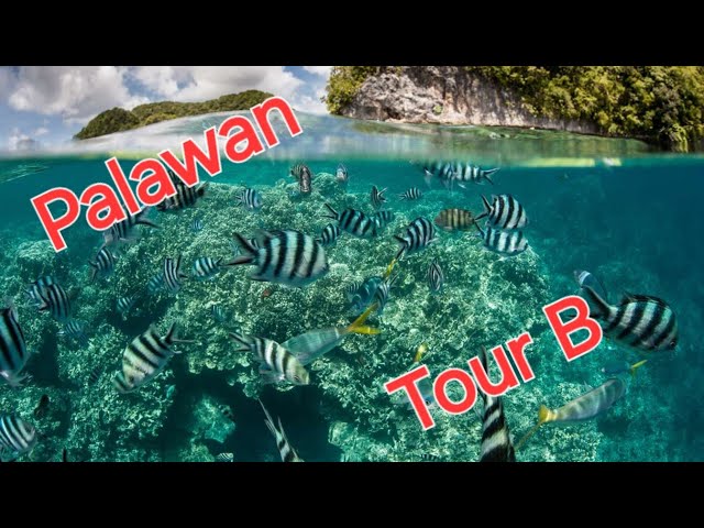 360VR Bacuit Bay Diving: Palawan El Nido Tour B Snorkeling Adventure Part 15/18