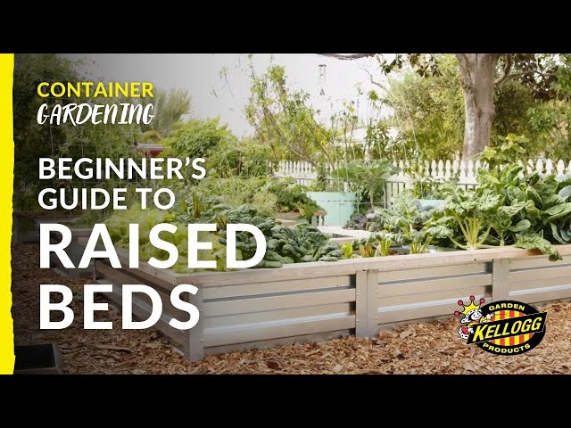 Level Up Your Gardening: How to Use Raised Beds for More Growing Space and Less Maintenance